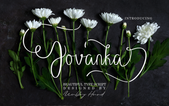 Jovanka: A Sweet Script Font for Creative Projects