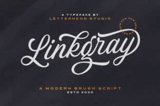 Linkgray: A Friendly Font for Campaigns