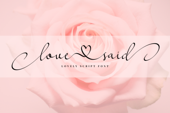Love Said Font for Professional Branding