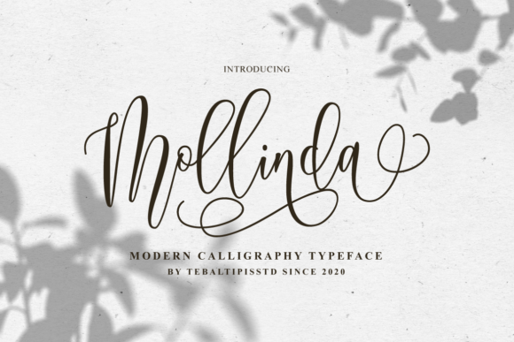 Mollinda: A Stylish Font for Small Businesses