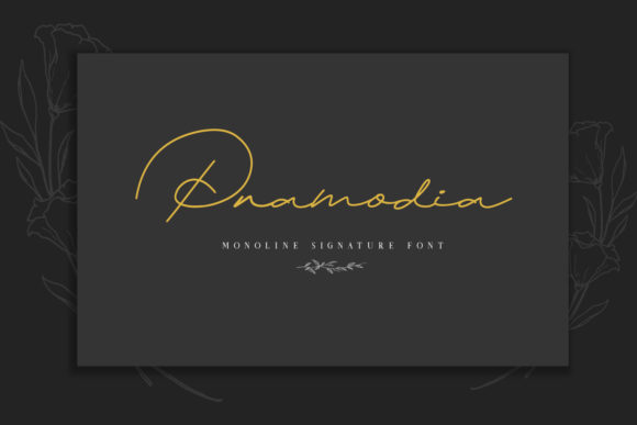 Pramodia Font Review