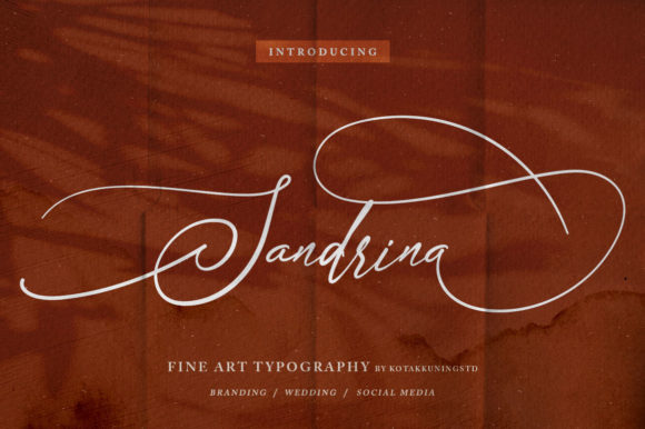 Sandrina Font: Elegant Script for Web Design